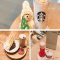 何枚も撮りたい…♡【スタバ】の最新ドリンク＆スイーツが可愛すぎて大変！ - ビューティ