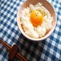 紀ノ国屋「卵かけトリュフしょうゆ」に悶絶、美味しすぎて3杯食べた | ビューティーガール