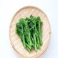 ＜春の味覚＞菜の花を使ったオススメ料理を教えて！ポイントを押さえれば使い勝手良し