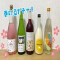 KURAND「春の酒ガチャまつり」が今年もスタート！ お花見に嬉しいお酒が勢揃い - ビューティ