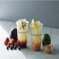 DEAN & DELUCAのフルーツソーダで、じめじめ気分を吹き飛ばそ！果実感たっぷりで元気をチャー