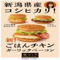 今日は肉の日［マクドナルド］新商品「ご飯がススム系！？」登場！約1年ぶりの再販バーガ