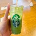 スタバのダブル抹茶ティーラテが売り切れも… 「似たもの」がコンビニで買えた - ビューテ