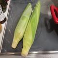 とうもろこしを「一番美味しく簡単に料理する方法」 電子レンジよりも楽で激ウマ - ビュー