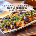 お肉無しでもメイン級！「茄子と厚揚げのネギだれ炒め」絶品おかずレシピ - ビューティー