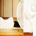 ［夏バテに悩んでいる人必見！］暑い夏こそ湯船につかるべき3つの理由、元気になれる入浴