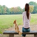 「犬より俺の世話をしろ！」夫の発言で離婚スレスレの喧嘩に « ビューティーガール