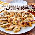 箸が止まらない「れんこん餃子」レシピ　旬のお野菜をヘルシーに美味しく！ - ビューティ