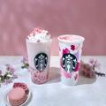 【スタバ 新作レポ】「さくら 咲くサク フラペチーノ」はベアリスタと楽しんで！ | グルメ