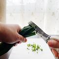 3COINSの「５枚刃はさみ」でみじんぎりが楽勝に！ネギ、大葉、のりを切ってみた | ビューテ