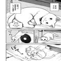 大ピンチ！ジョウロに頭がハマった野良猫、助けてくれたのは…＜漫画＞ | ビューティーガ