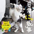猫がかわいかったら撮れなくてもOK!?猫の喜怒哀楽を撮影する“猫写真家”に聞く秘話 | ビュ