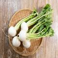 甘くてとろける～♡野菜ソムリエおすすめ！今が旬！かぶの一番美味しい食べ方 - ビューテ