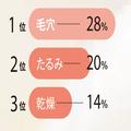 「“毛穴”はあるもの。気にしすぎはもったいない！」｜毛穴に悩む人生はもう終わり！ 関