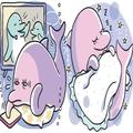 【睡眠改善】寝る直前までスマホを見てしまう…「イルカタイプ」の眠りの質を高めるのは