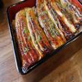 わずか4席で行列必至 温泉街・熱海にある鰻の名店『うな正』が絶品すぎる - ビューティーガ