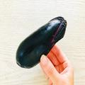 寺田心がやっている「なすの食べ方」が激うま “調味料1つだけ”でハマる味わい - ビューテ