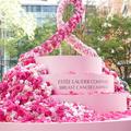 エスティ ローダー カンパニーズ 2023 乳がんキャンペーン「PINK ME MARUNOUCHI」がスタート！ |